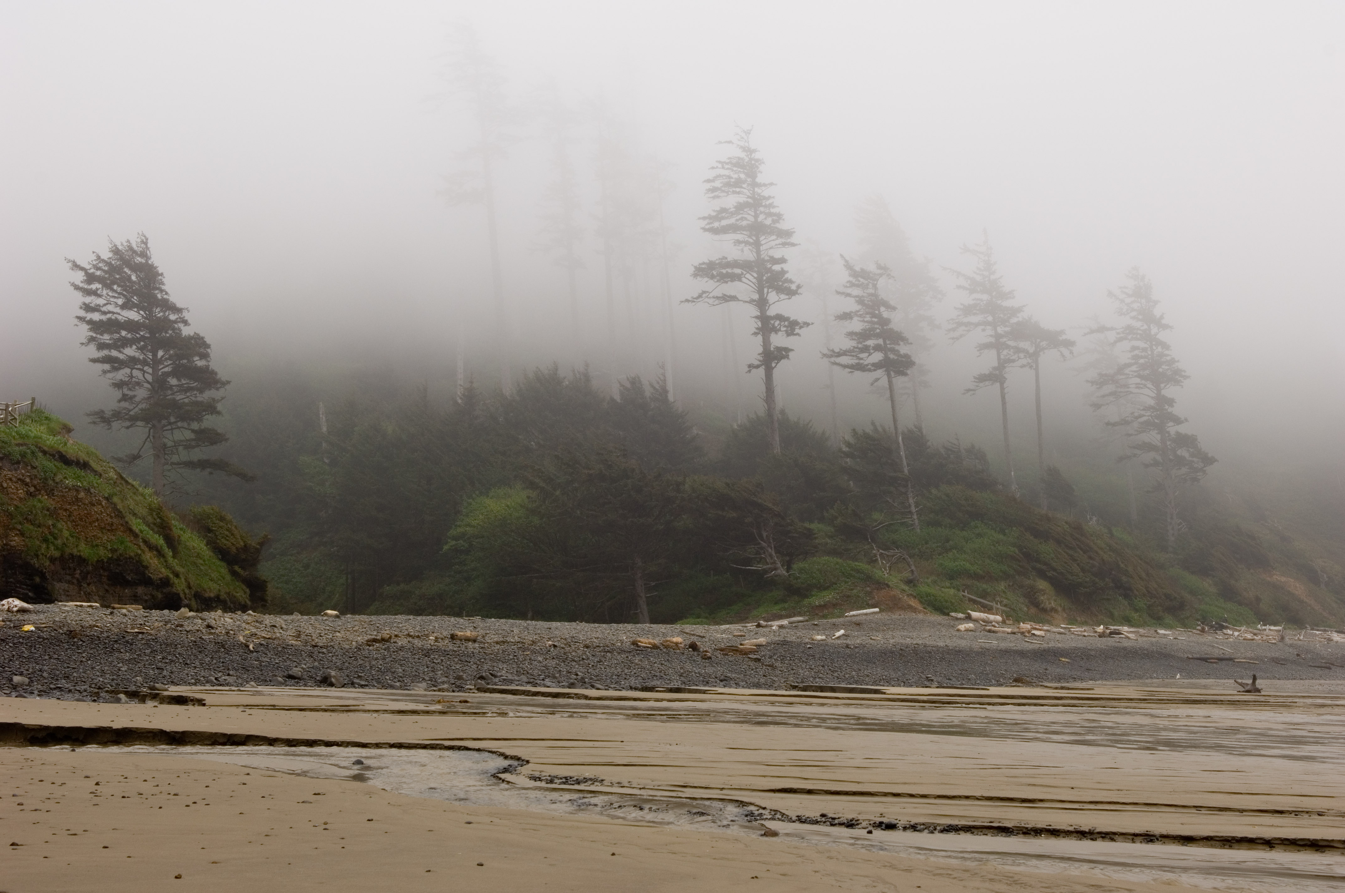 The beach. It is foggy up on the hill where there are trees.